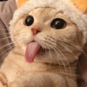 Meet your Posher, Simone